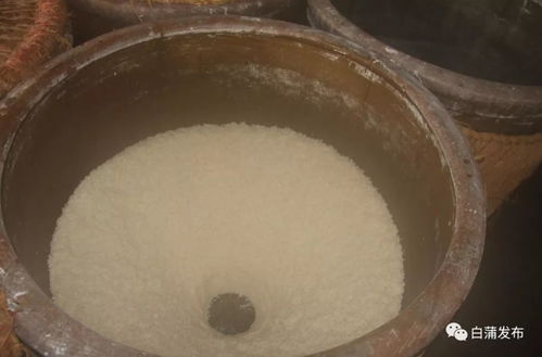 寻味乡土 品纯酿、尝香米、享地道特产之趣