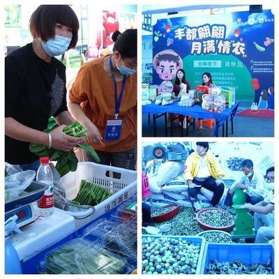 盐都第五届特色农产品展销会开幕 科技赋农，电子展销新体验